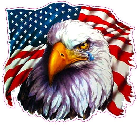 American Flag Eagle Crying 5" Decal Free Shipping in the United States ...