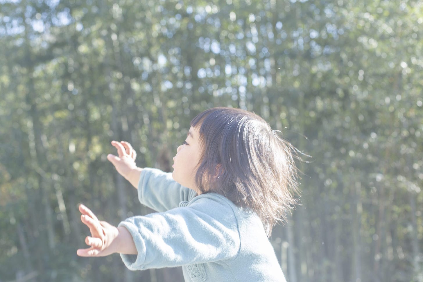 Rinko Kawauchi: As it is - 1854 Photography