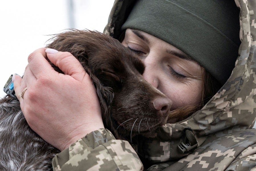 A soldier holds a dog's face close to their face, nuzzling.