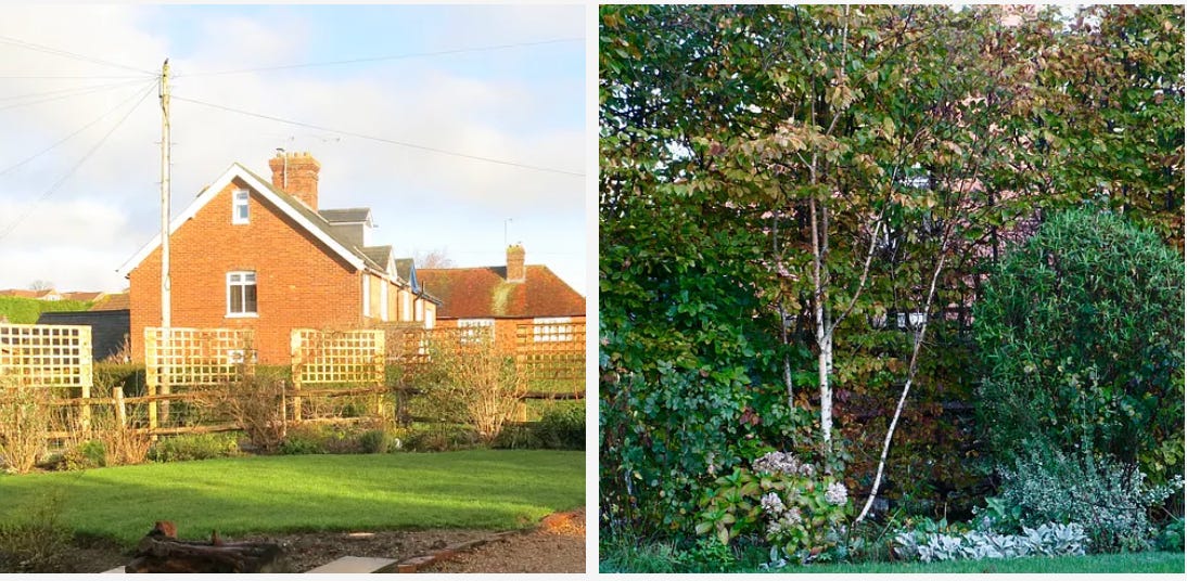 an empty garden and the same garden but planted