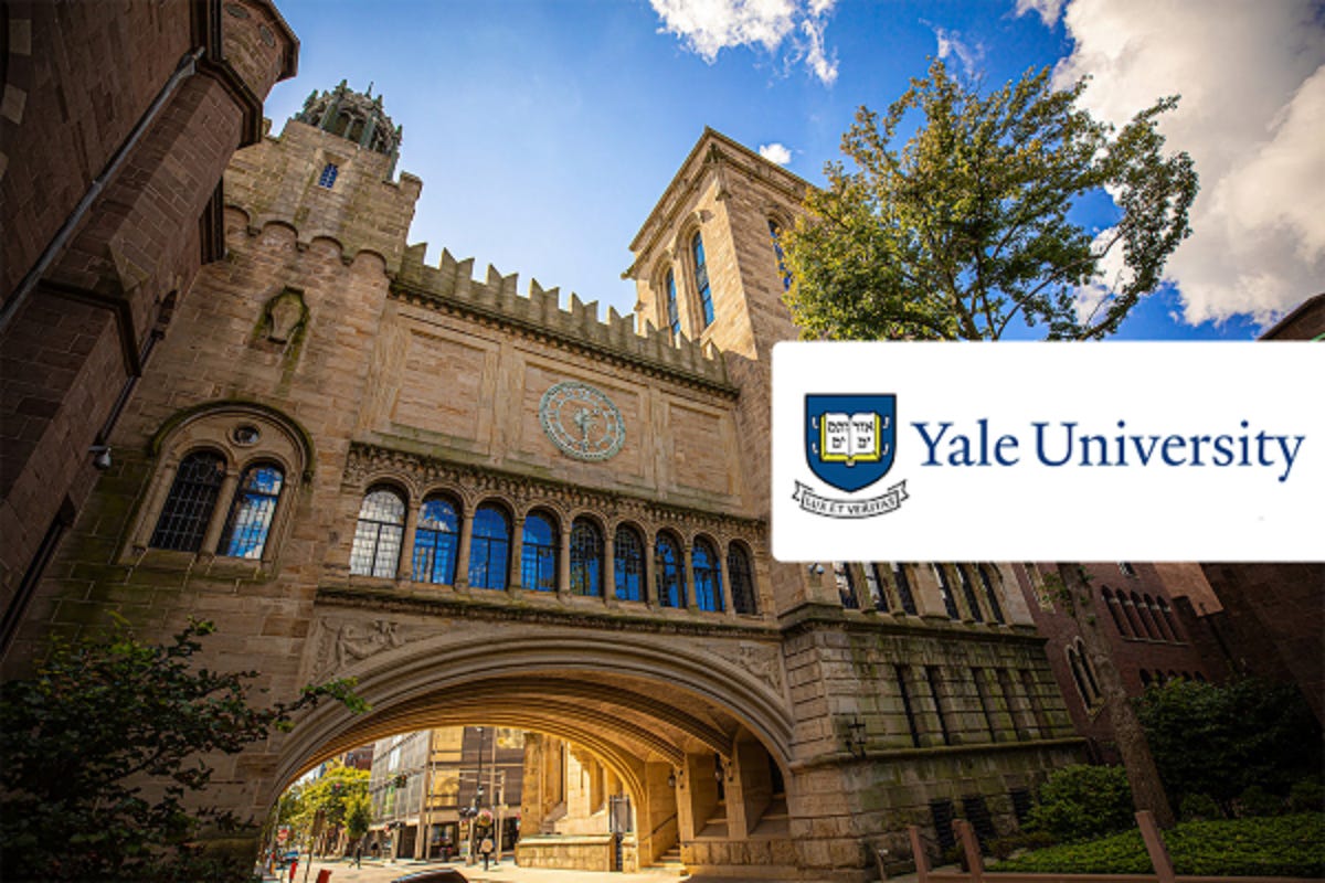 Top Yale University Courses for Professionals 2025