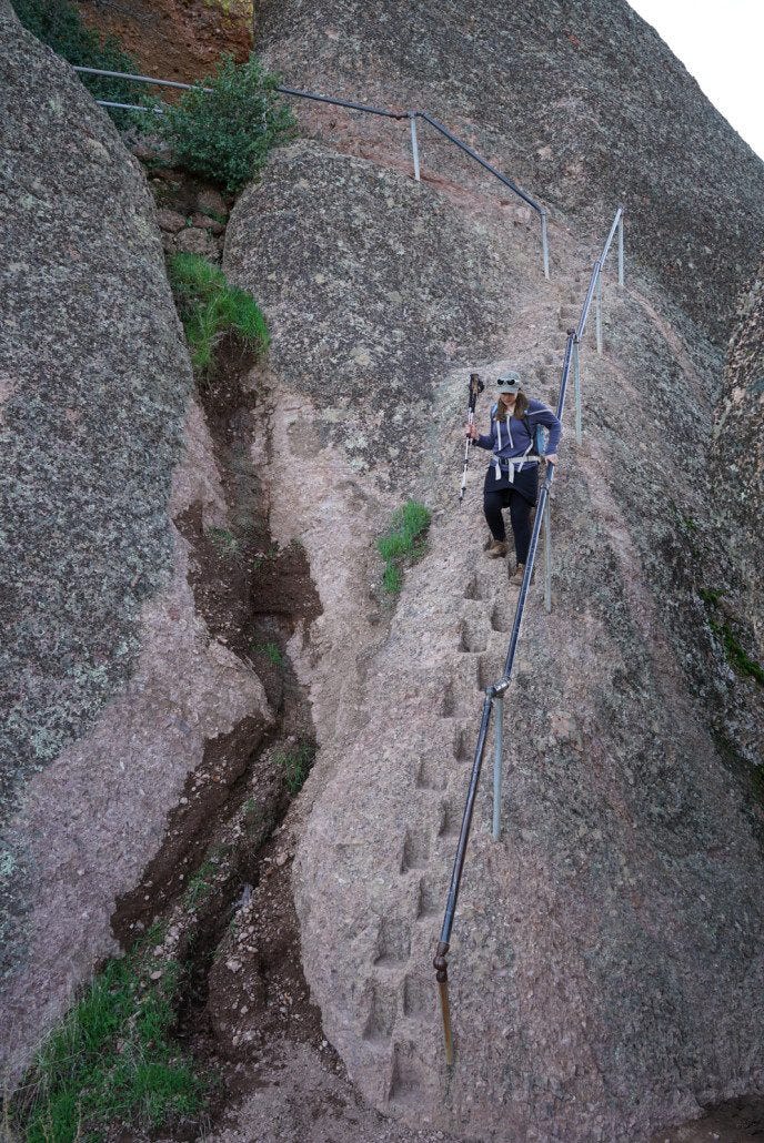 High Peaks trail has dozens of steep stone step sections like this. Fun!