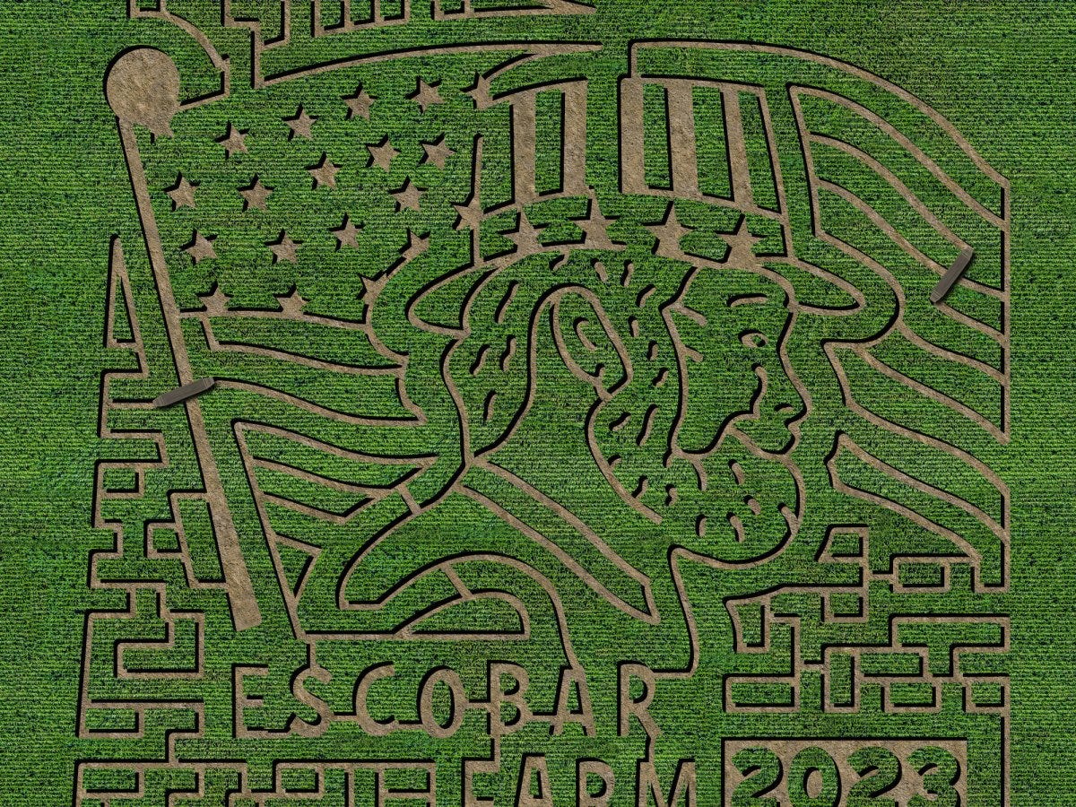 Escobar Farm Corn Maze opens for the season with a maze that celebrates Field of Dreams