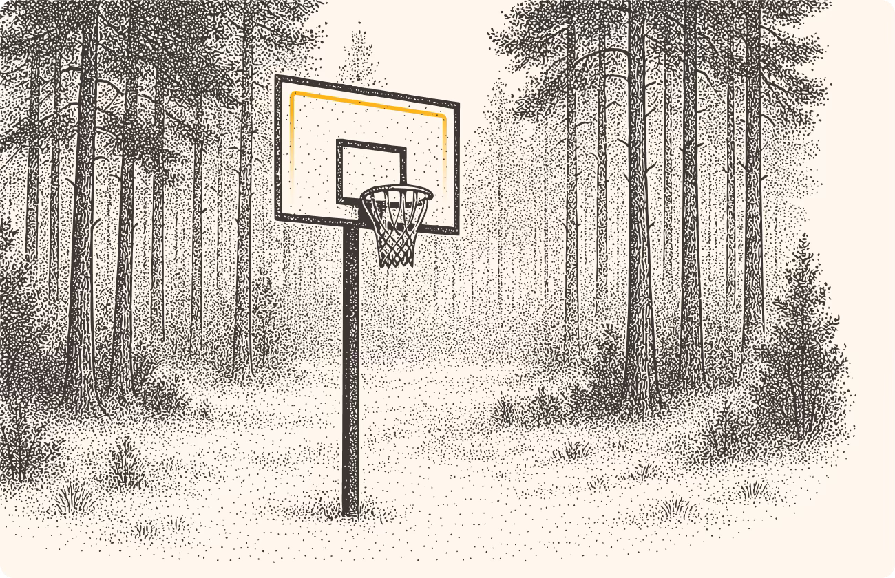 An illustration of a basketball hoop in the woods, because why not?
