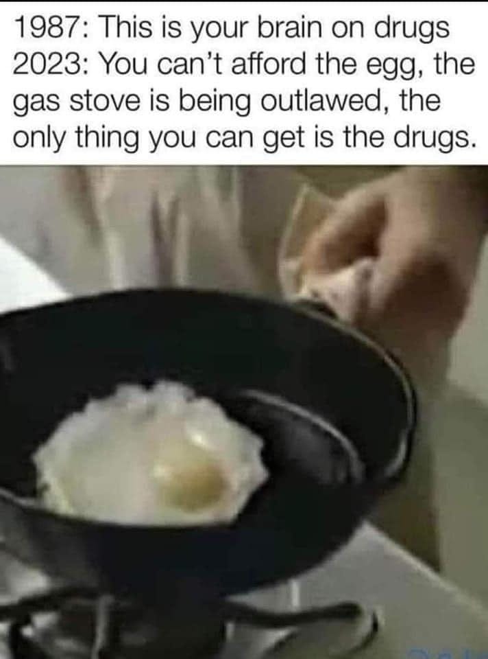 May be an image of text that says '1987: This is your brain on drugs 2023: You can't afford the egg, the gas stove is being outlawed, the only thing you can get is the drugs.'