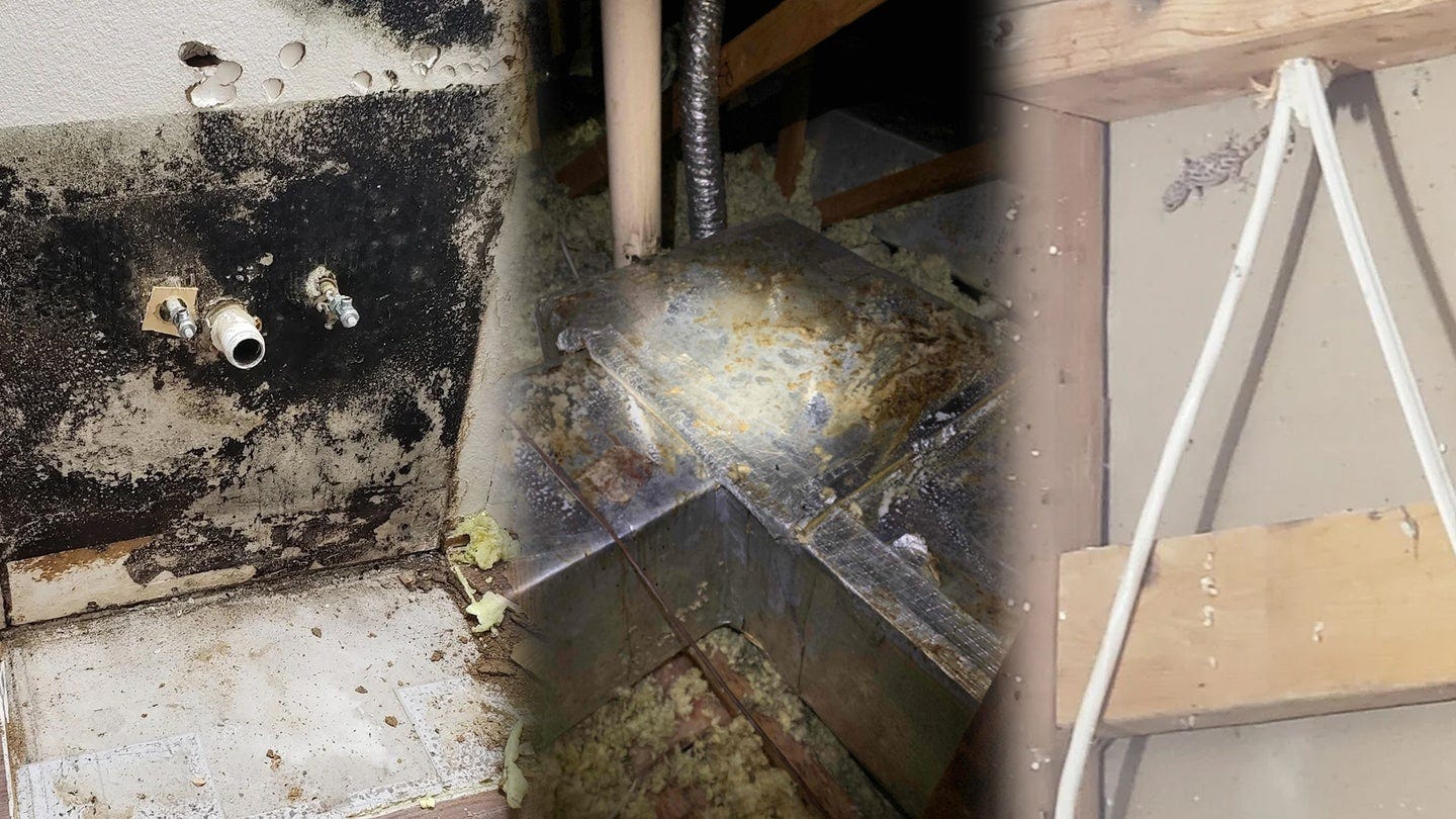 Military families describe roaches, rodents, and mold in military housing