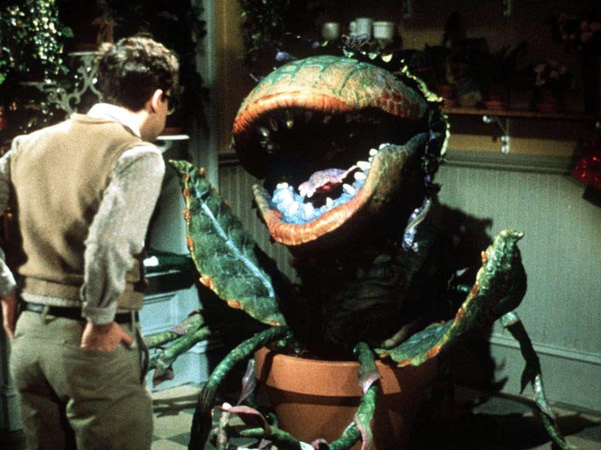 Little Shop of Horrors musical to be remade by Warner Bros | Movies | The  Guardian
