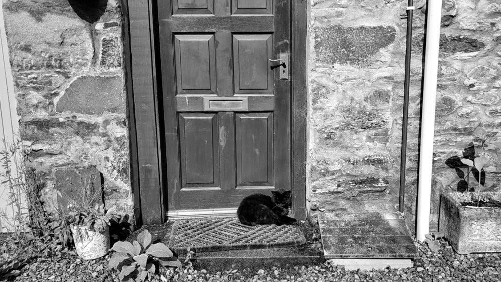 A black cat snoozes on a mat in front of a wooden door