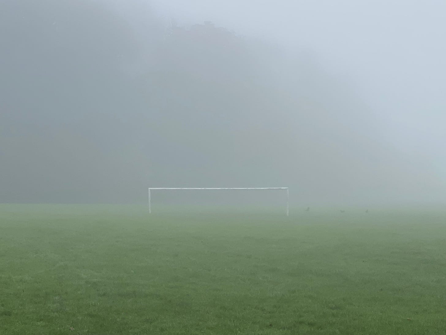 set of white goal posts in a foggy field - green, white and grey