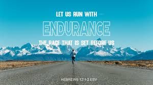 Run the race with endurance | Interseed