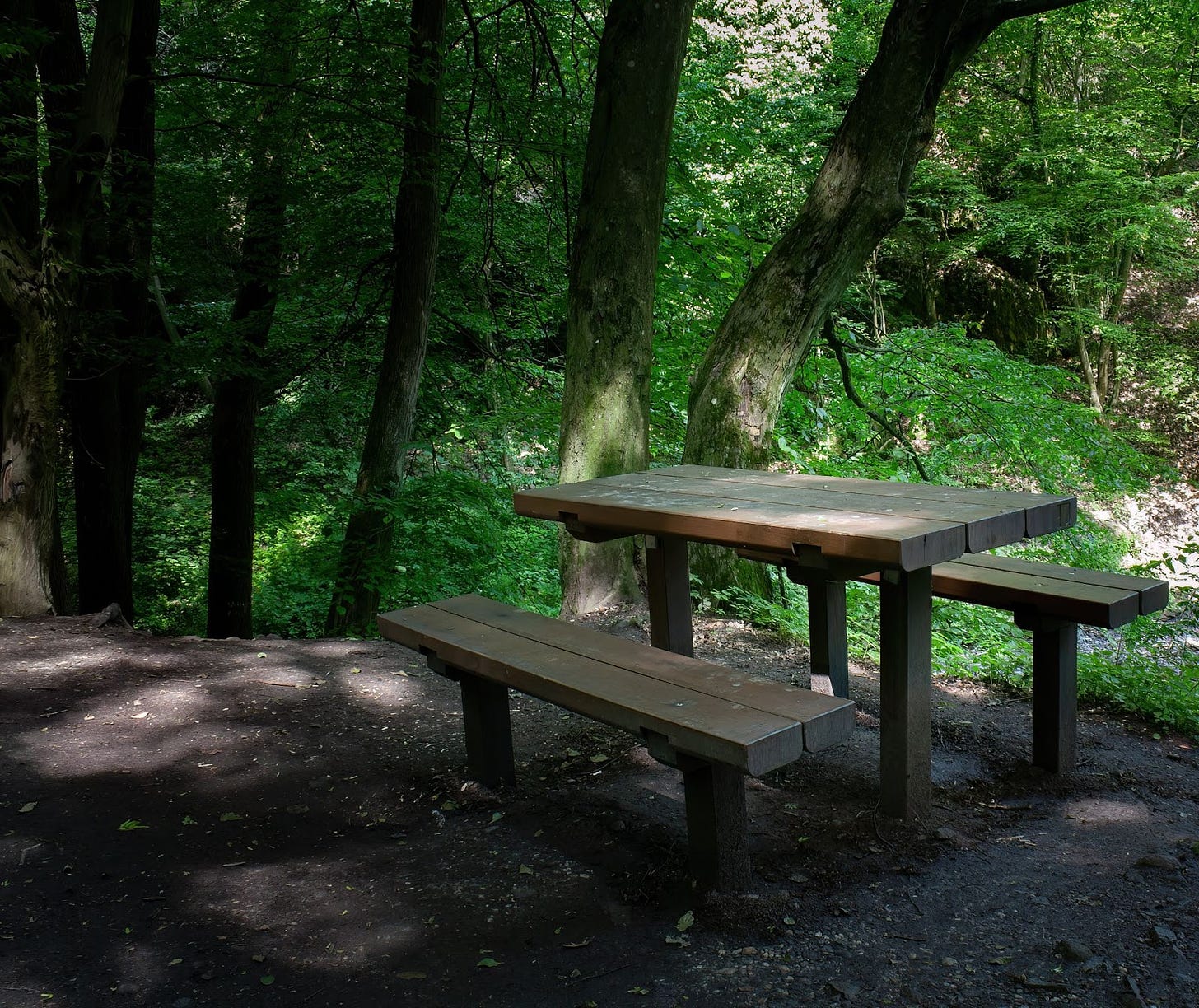 A picnic table surrounded by greenery