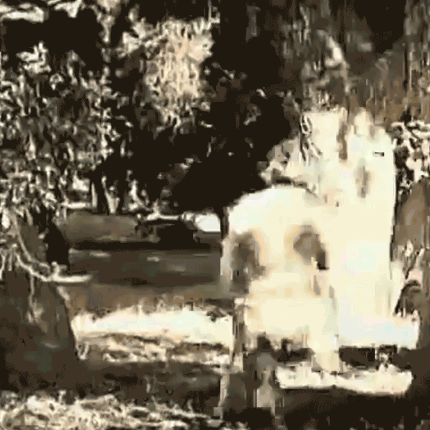 Robin Hood skips away into the woods - a black and white animated gif from 1922 film Douglas Fairbanks in Robin Hood
