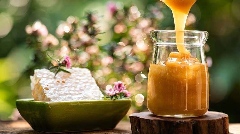 manuka and ohia lehua honeys therapeutic benefits
