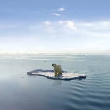 Polar Bears and Global Warming | Saving ...