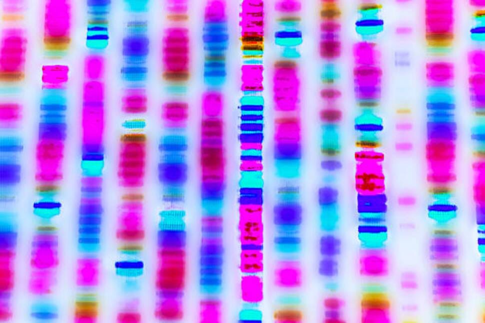 7 Best Gene-Editing Stocks to Invest in Right Now | Investing | U.S. News - U.S News & World Report Money