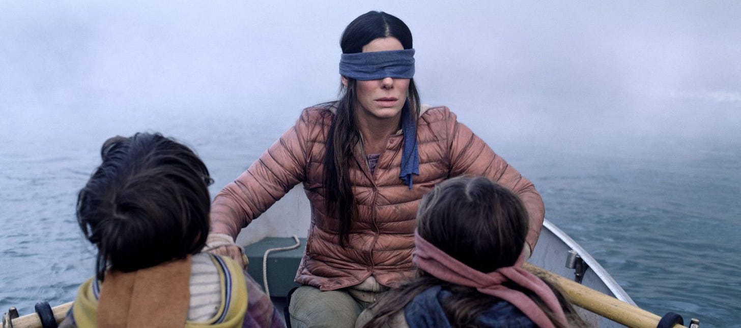 Sandra Bullock's Bird Box Is on Netflix and Terrifying Audiences