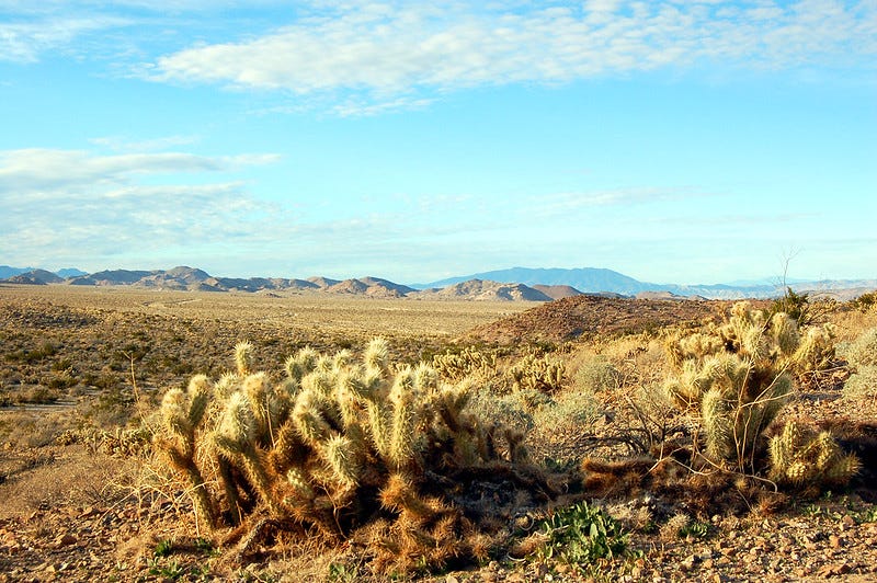 Photo of the desert near Ocotillo, California