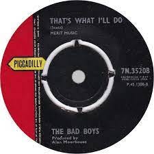 45cat - The Bad Boys [UK-Italy] - The Owl And The Pussy Cat / That's What I'll  Do - Piccadilly - UK - 7N 35208