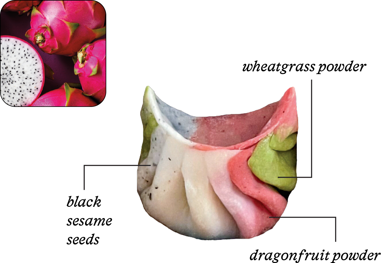 Photo of a dragonfruit and a dumpling in the same color palette