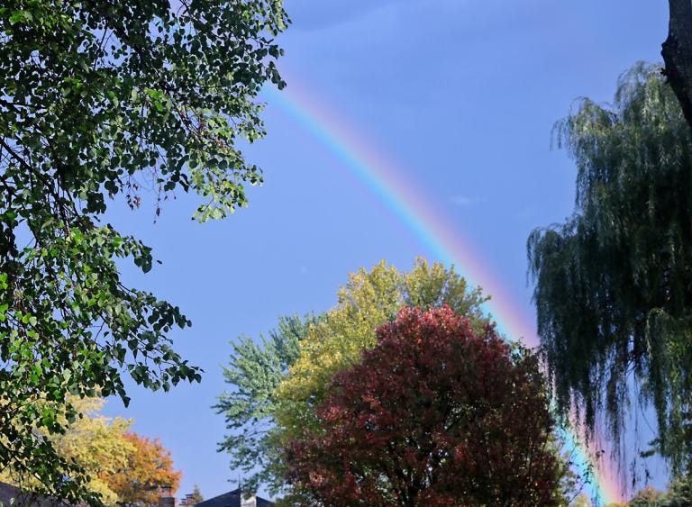 Photo of the Week: November Rainbow Lights Up the Sky - Lireo Designs