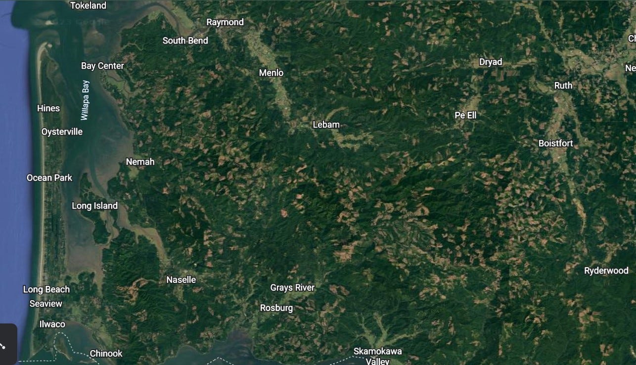 satellite image of landscape, mostly green with brown spots showing clearcuts