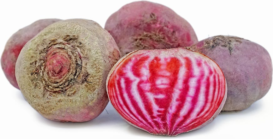 Chioggia Beets Information and Facts