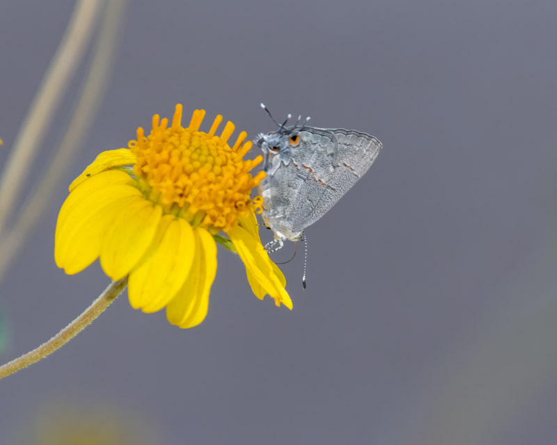 220919-SGC-75-Edit.jpg