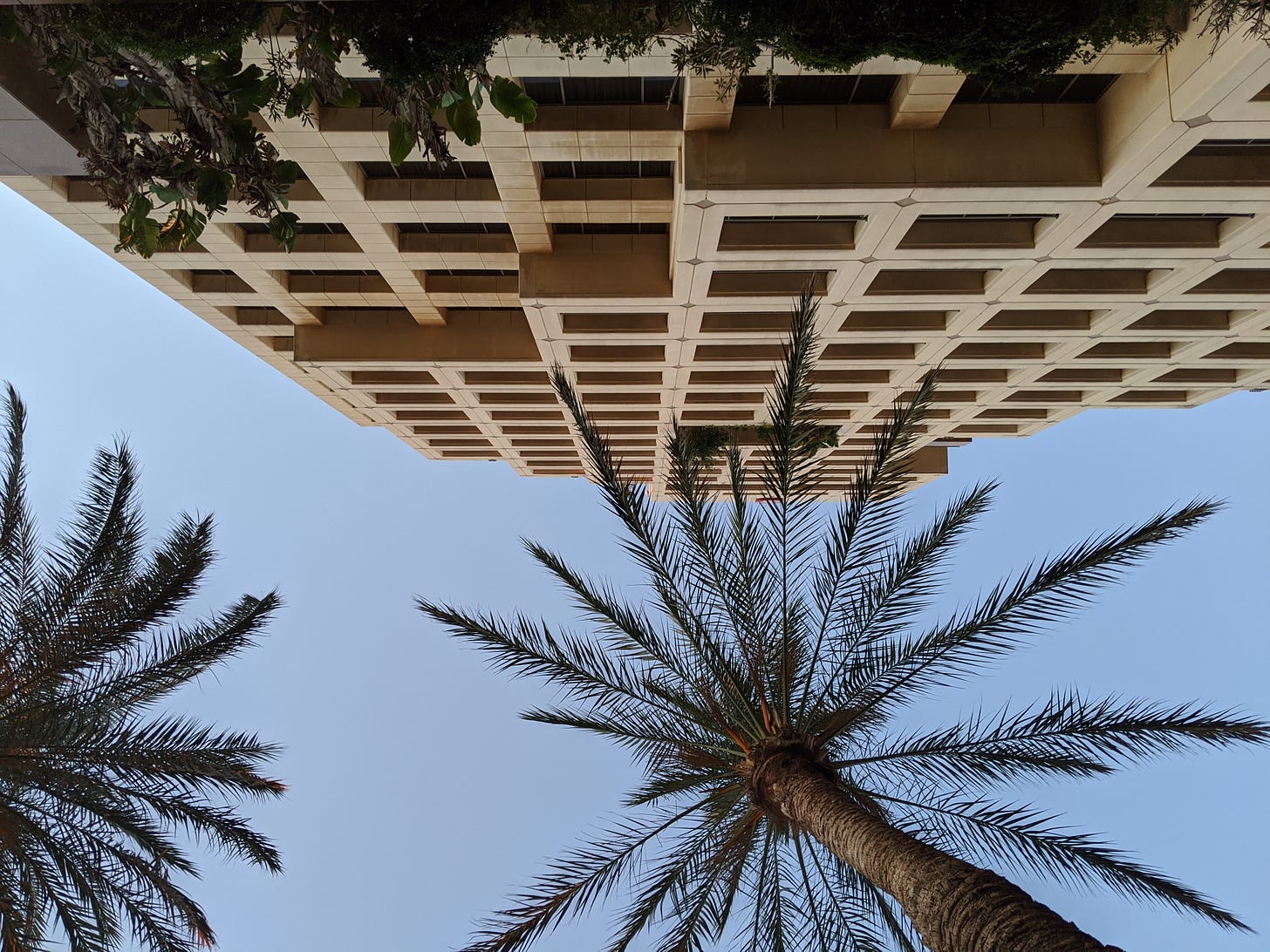 A view up toward the sky of two palm trees and a tall, beige apartment building.