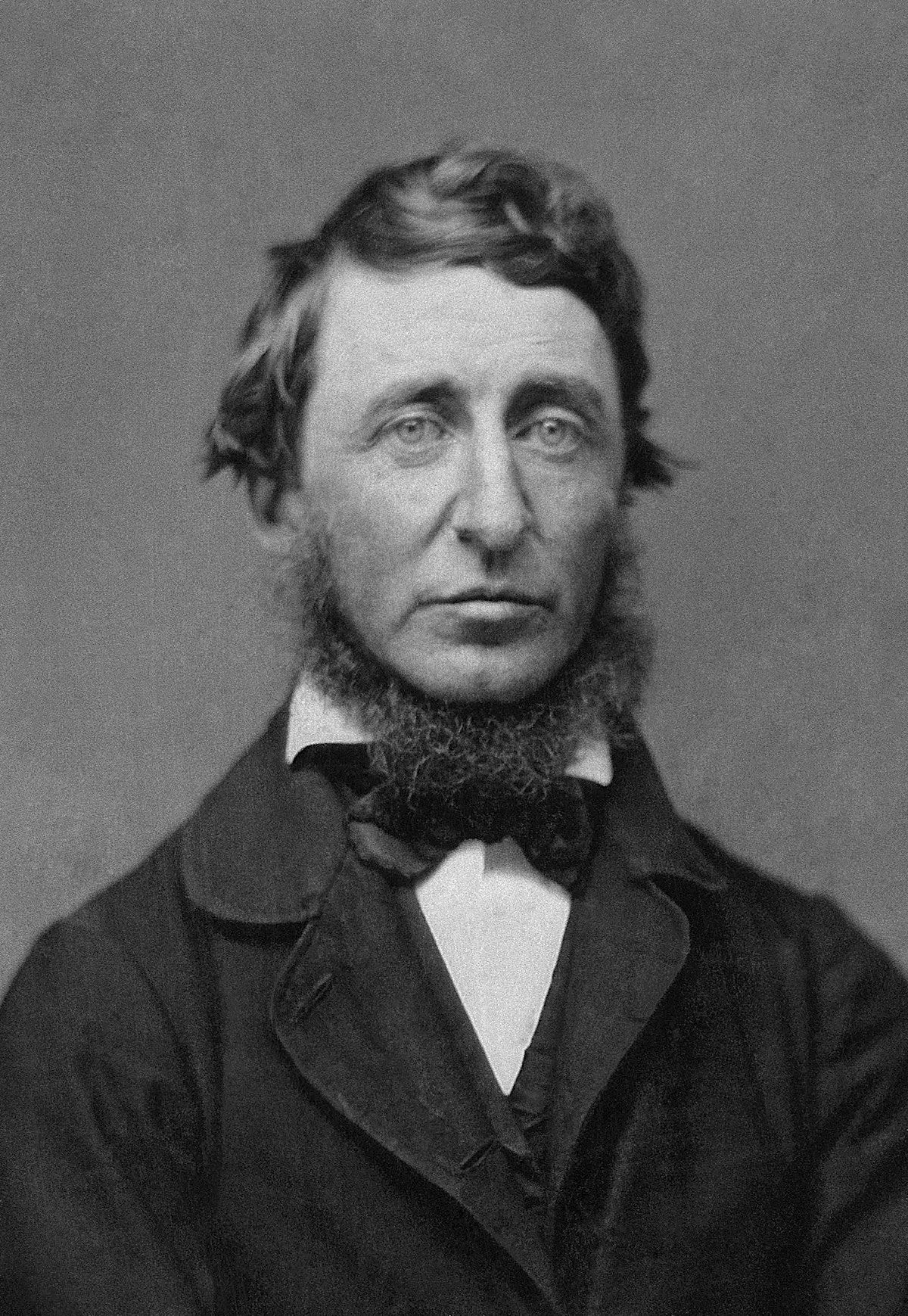 Henry David Thoreau - Wikipedia