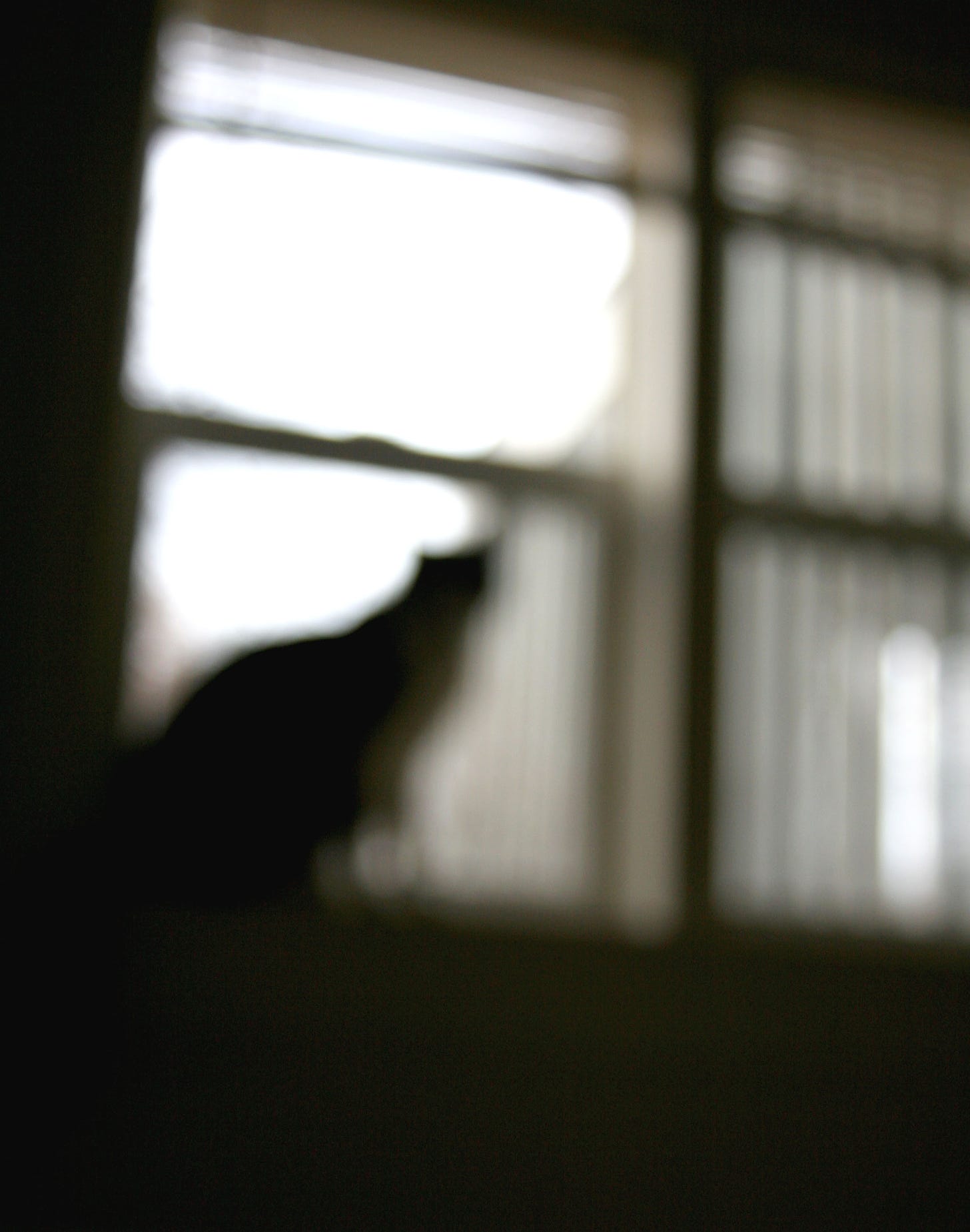 Vertical out of focus image of a cat sitting on a window sill inside a home and looking outside.