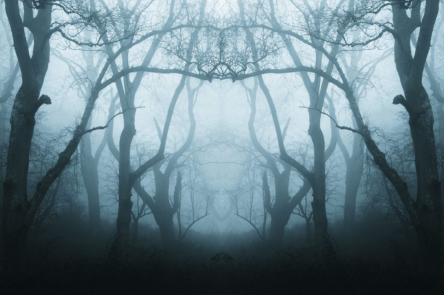 mirrored-duplicate-effect-of-a-spooky-eerie-forest-royalty-free-image-1592341314.jpg