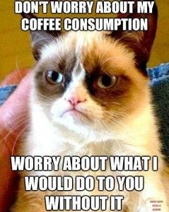 Grumpy cat coffee meme