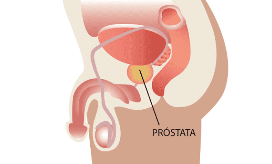 La próstata