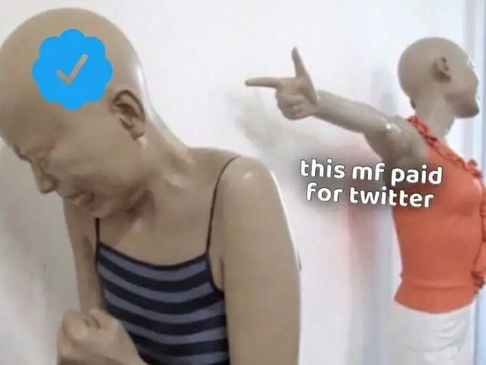 Meme showing a crying person with a blue check as another points and says "this m f paid for twitter"