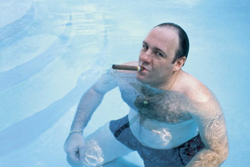 TV mobster Tony Soprano smokes a cigar in his swimming pool. He looks menacingly at the camera