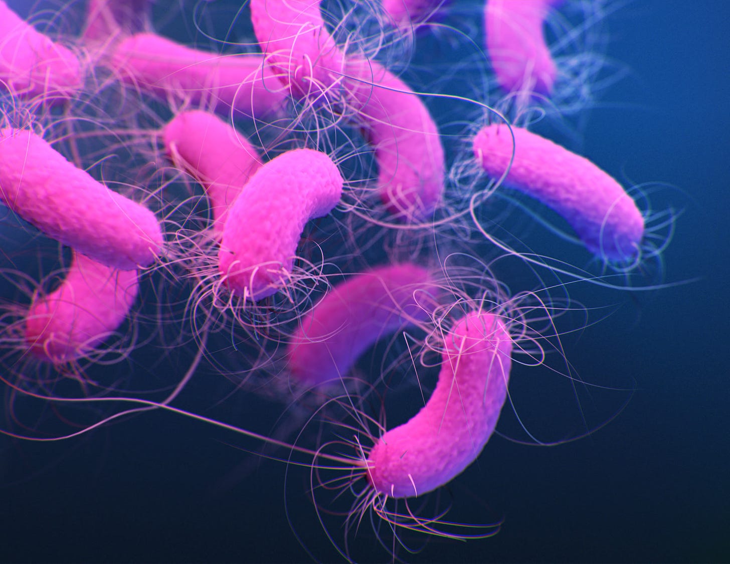 New Antibiotics Fight Multidrug-Resistant Gram-Negative Bacteria | Sci.News