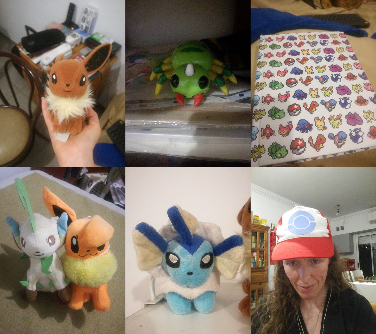 A selection of Pokémon plush toys and a sketchbook from Lady Vulpix's collection