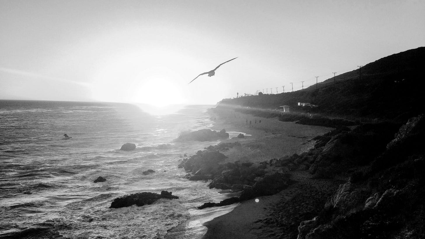 Black and White Beach at Sunset