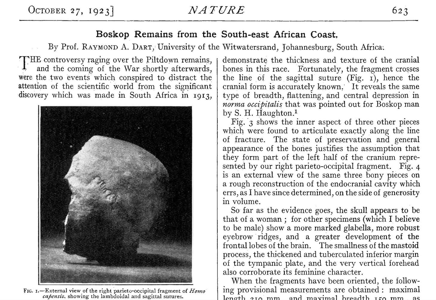 Front page of a research article, topped with the journal name Nature and titled "Boskop remains from the south-east African coast" by Raymond Dart
