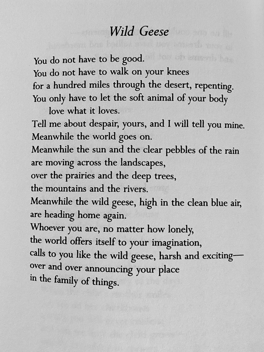 You do not have to be good. You do not have to walk on your knees for a hundred miles through the desert repenting. You only have to let the soft animal of your body love what it loves. Tell me about despair, yours, and I will tell you mine. Meanwhile the world goes on. Meanwhile the sun and the clear pebbles of the rain are moving across the landscapes, over the prairies and the deep trees, the mountains and the rivers. Meanwhile the wild geese, high in the clean blue air, are heading home again. Whoever you are, no matter how lonely, the world offers itself to your imagination, calls to you like the wild geese, harsh and exciting - over and over announcing your place in the family of things.