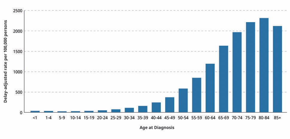 Cancer Incidence Rates by Age at Diagnosis