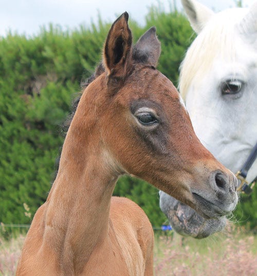 The new arrival at four days old.