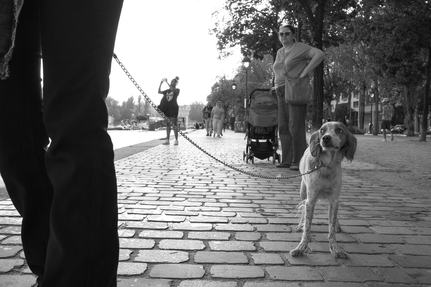 A suspicious dog looks at its master on the side of a canal in Paris. In the background, a woman watches on, and behind her, a woman takes a snapshot of something.