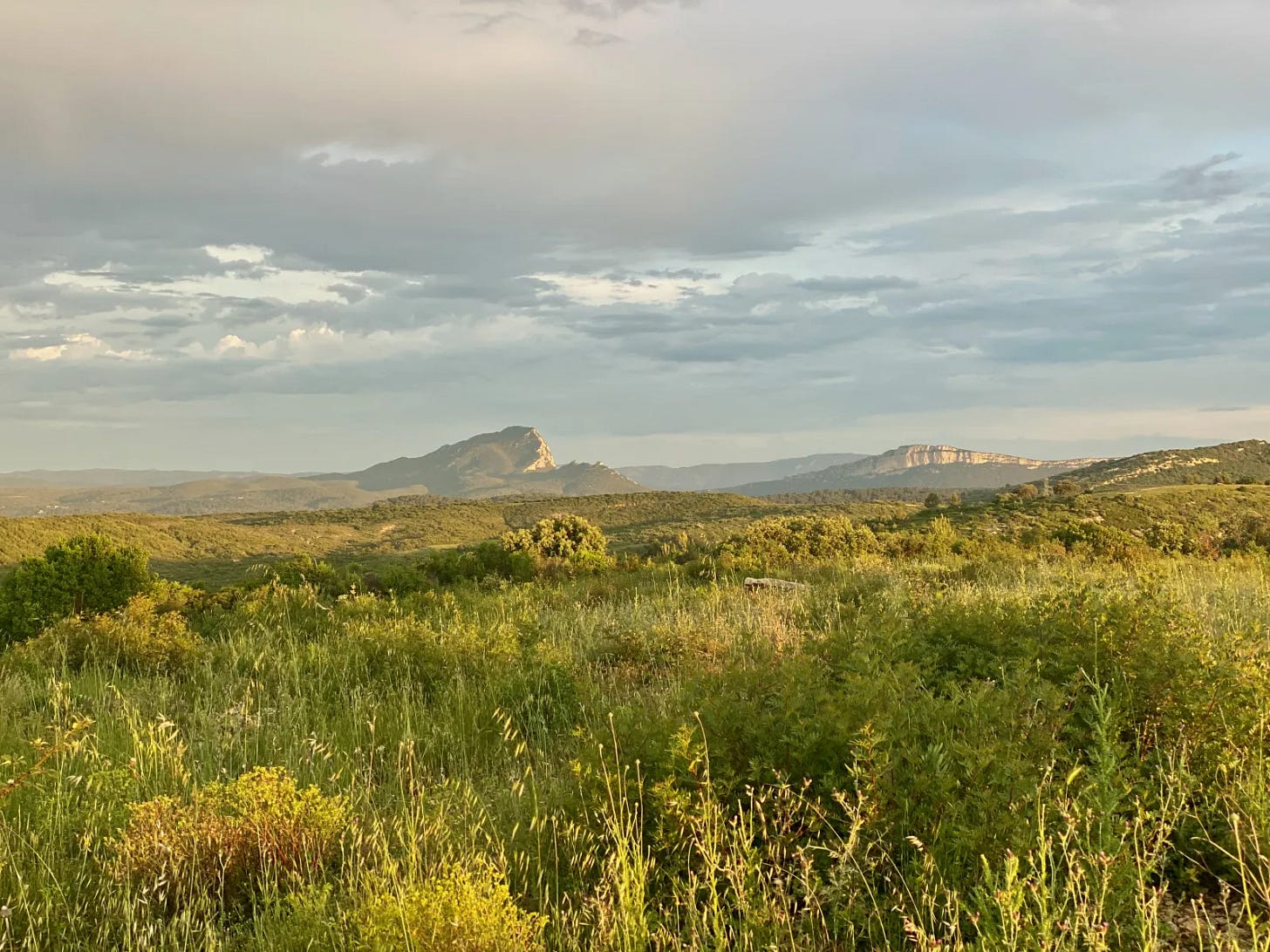Pic Saint-Loup Pic Saint-Loup