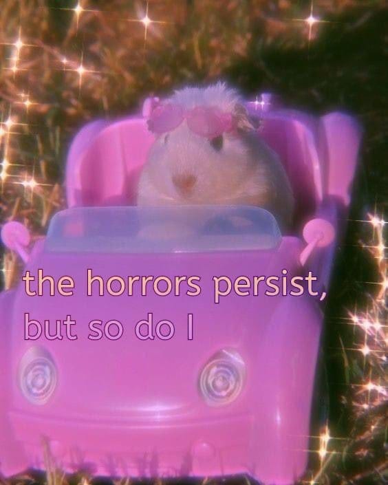 hamster with pink sunglasses in a pink car with the text "the horrors persist, but so do I"