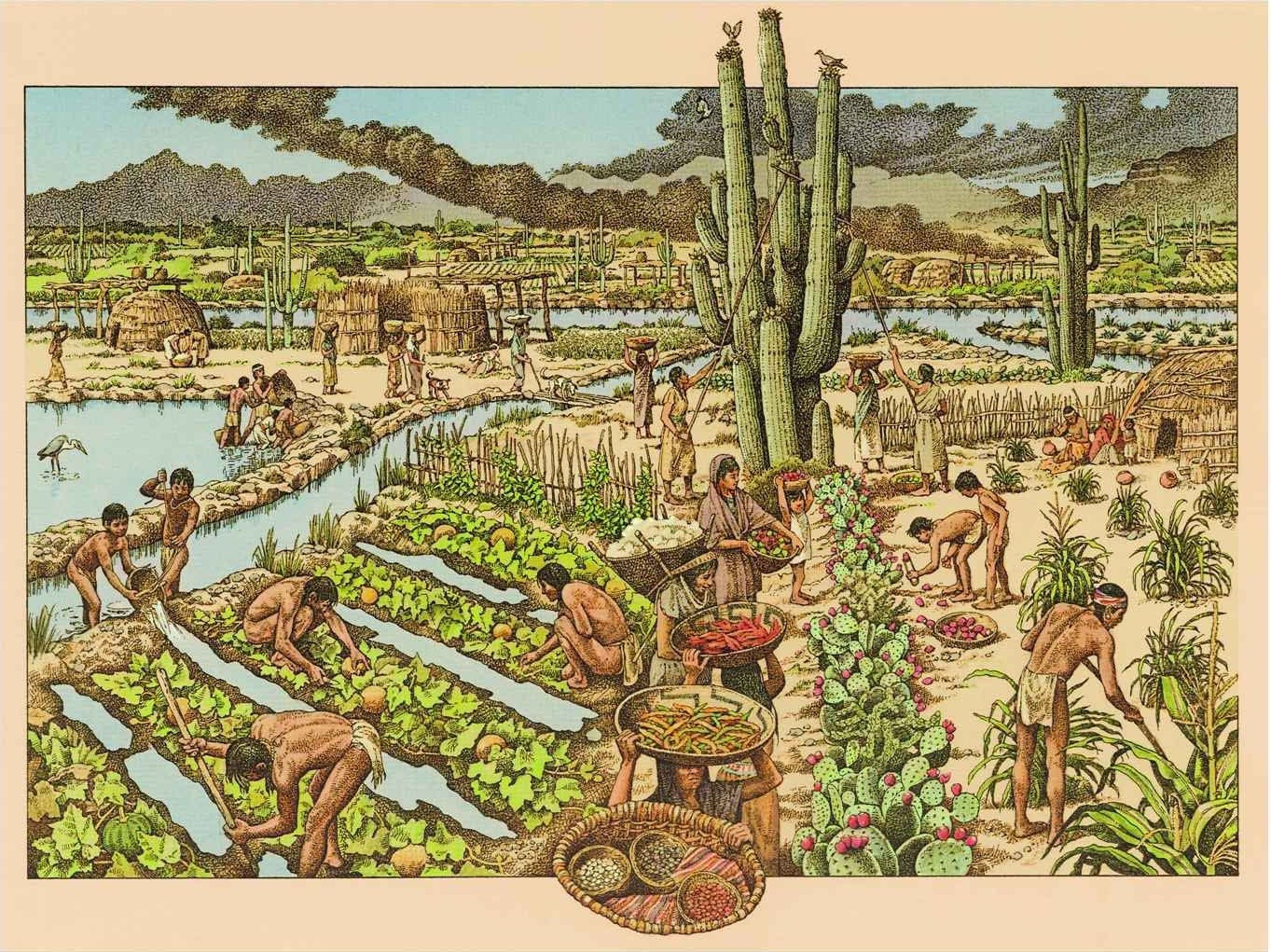 Learn about Hohokam irrigation canals at Historical Society presentation -  InMaricopa