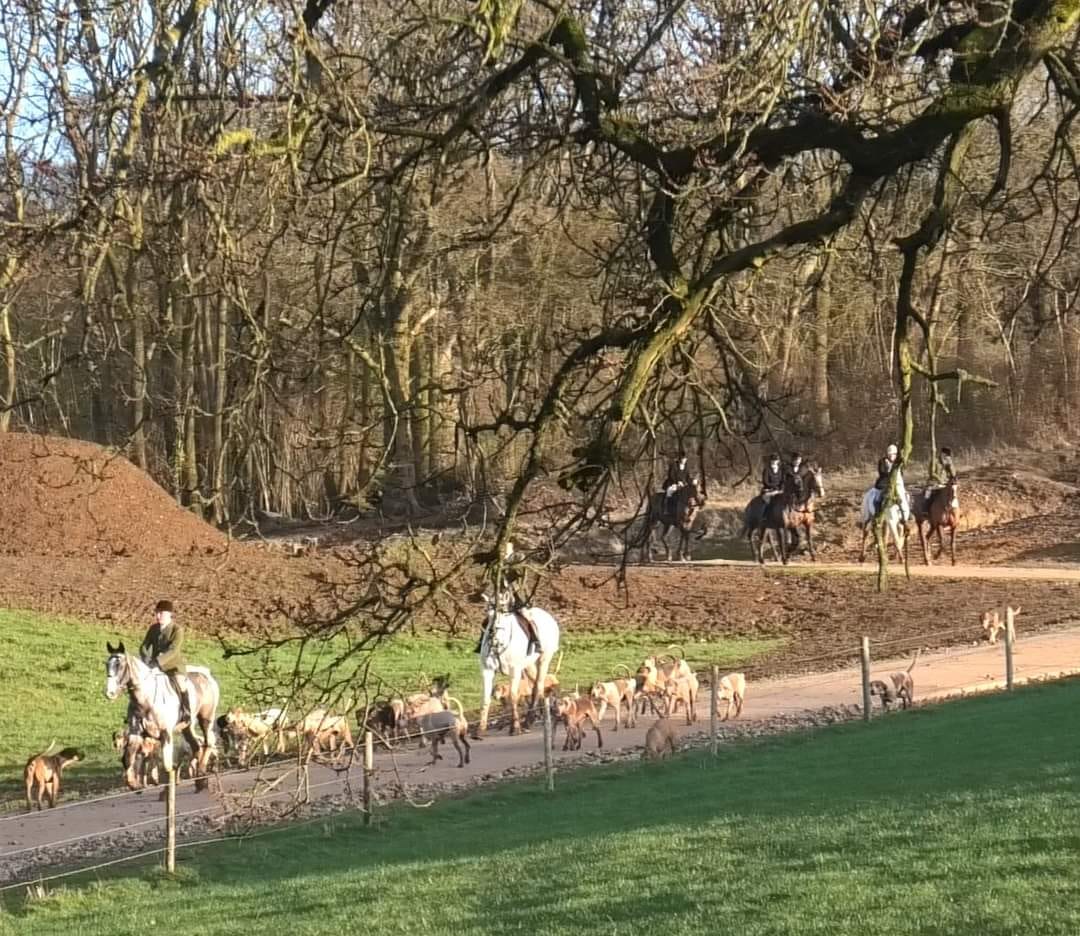 The BSV rides through Searts Farm on 22 January. Photo by North Dorset Hunt Sabs
