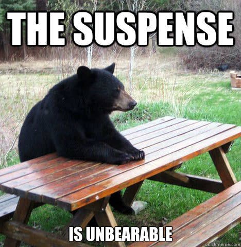 A bear sitting at a picnic table, image overlaid by words "The Suspense is Unbearable".