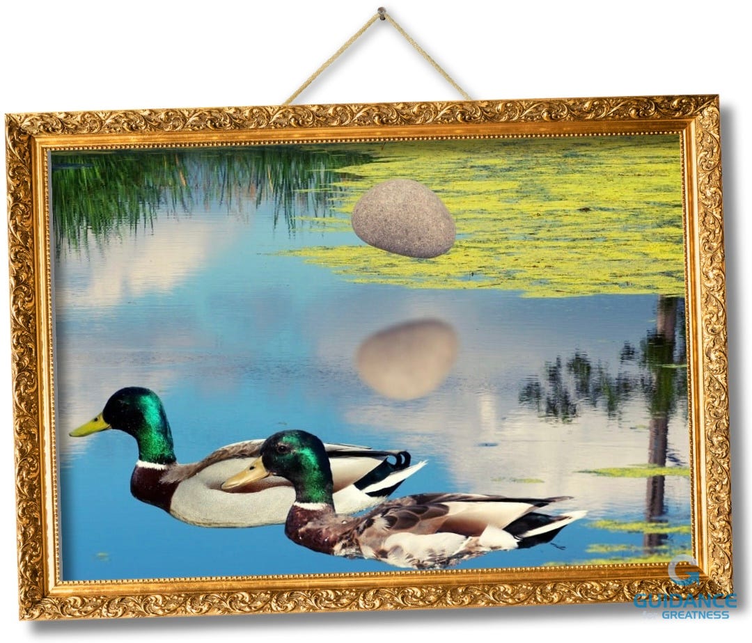 An elaborate rectangular gold frame hanging crooked from a  string with a nail in the wall. The image in the frame is of a pond with two ducks swimming to the left. A rock, which has apparently been thrown, hovers over the water with its reflection below. There is a shadow slightly to the right and below the frame and string.