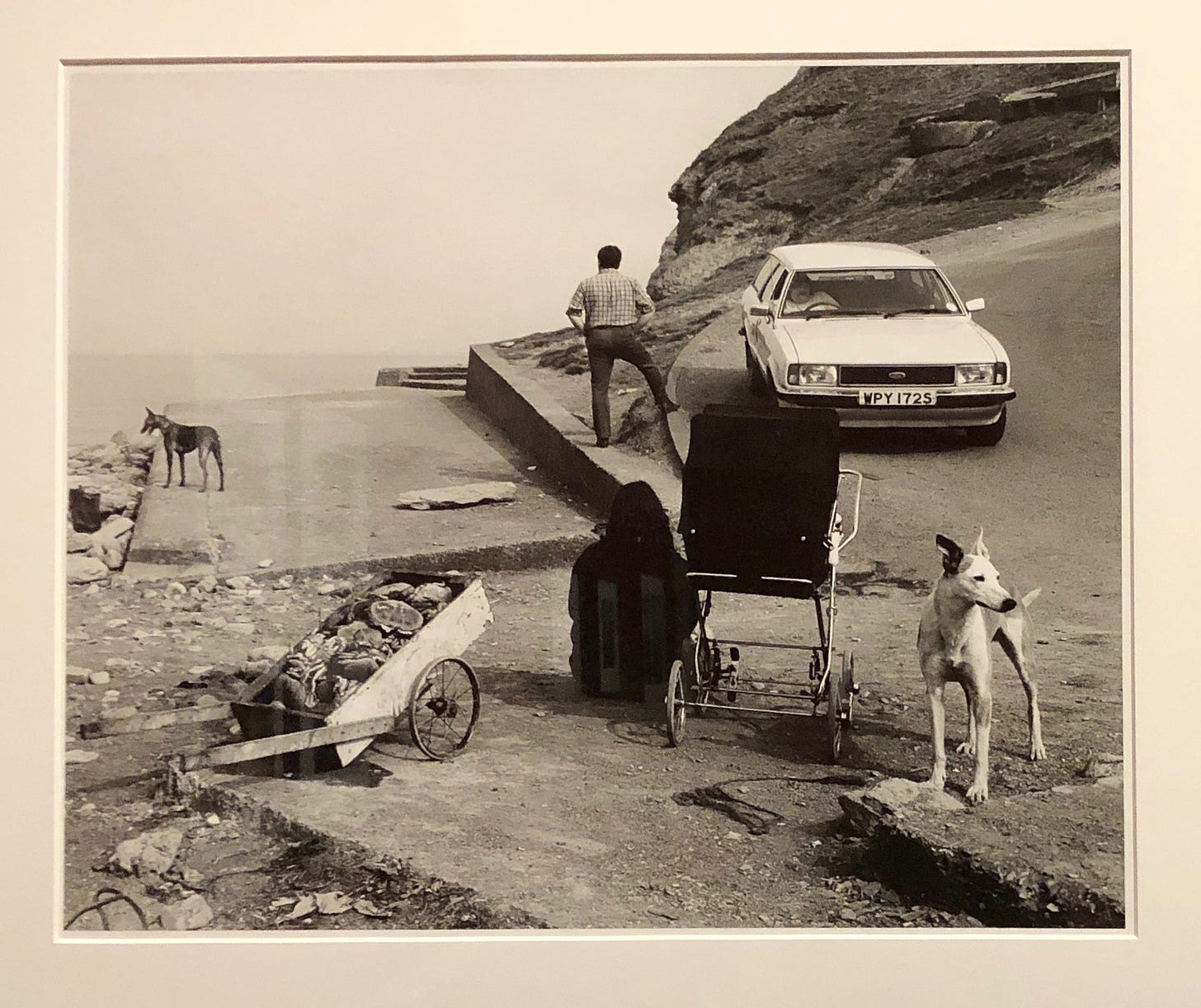 A barrow of crabs, seated figure facing away from the viewer, pram, and dog take up the foreground of a rocky beach. In the background, a man and a dog stare at the ocean near a car and a cliff, looking away from the viewer.